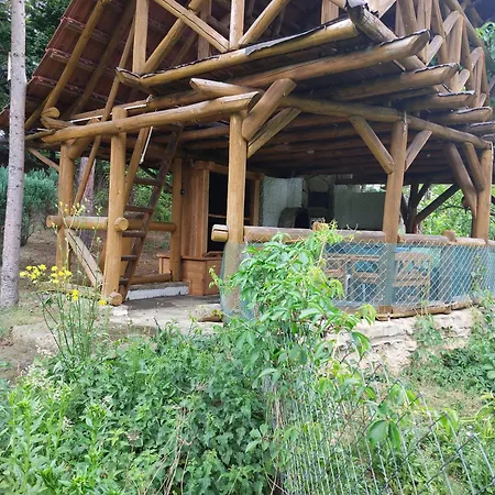 Farma Zdrowia