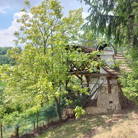 Gospodarstwo agroturystyczne Farma Zdrowia *